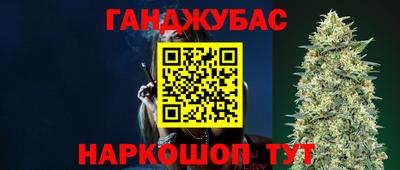 гашик Бийск