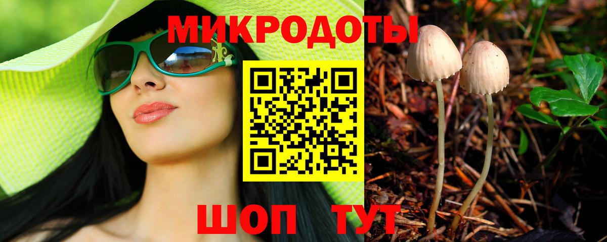 Псилоцибиновые грибы прущие грибы Губаха